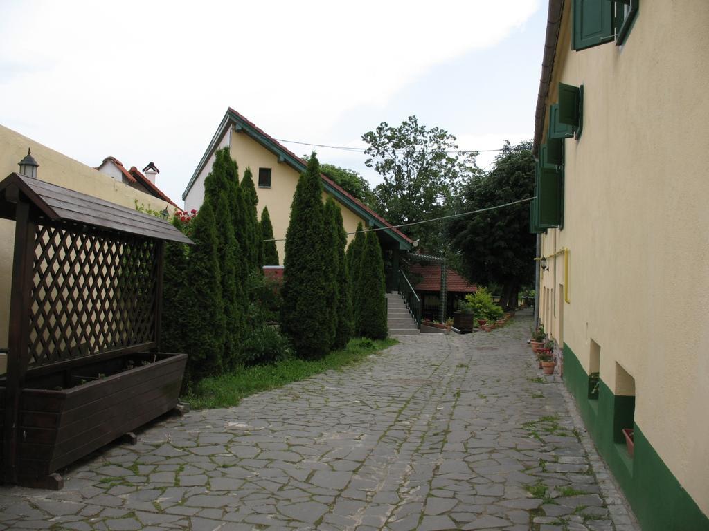 Pensiunea Sub Cetate Cisnădie Exteriér fotografie