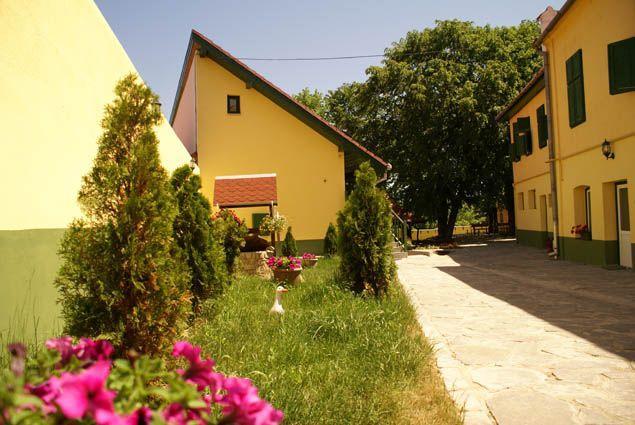 Pensiunea Sub Cetate Cisnădie Exteriér fotografie